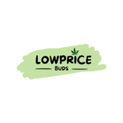 Low Price Buds